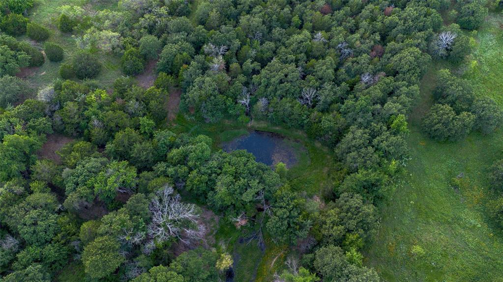 Au Springer Surv Abs #801 - Farm