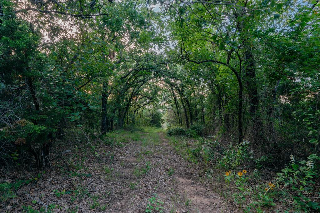 Au Springer Surv Abs #801 - Farm