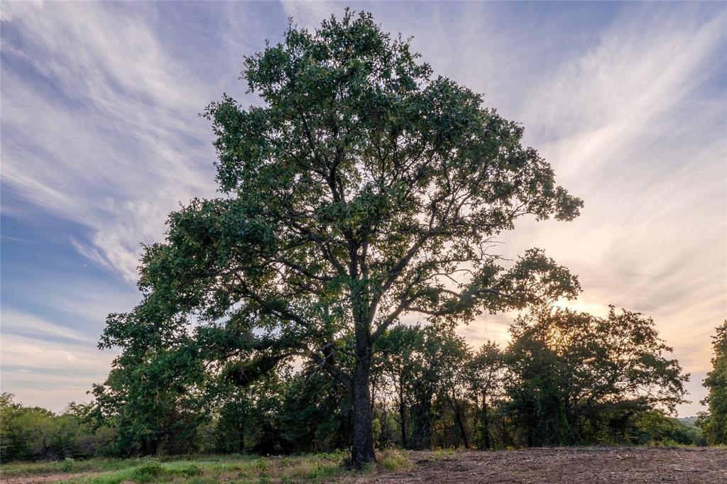 Au Springer Surv Abs #801 - Farm