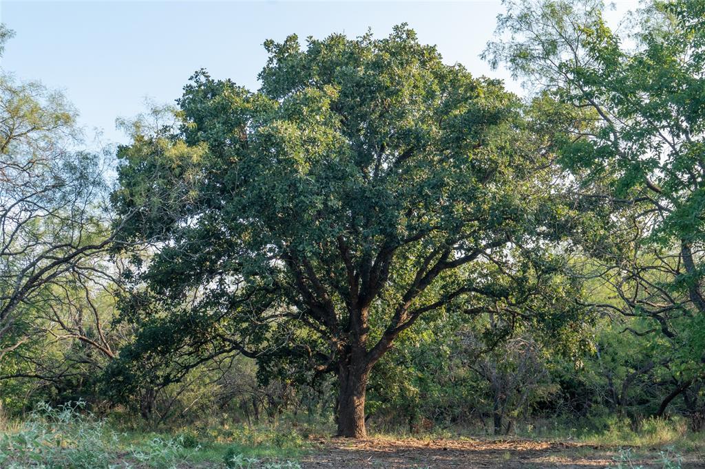 Au Springer Surv Abs #801 - Farm