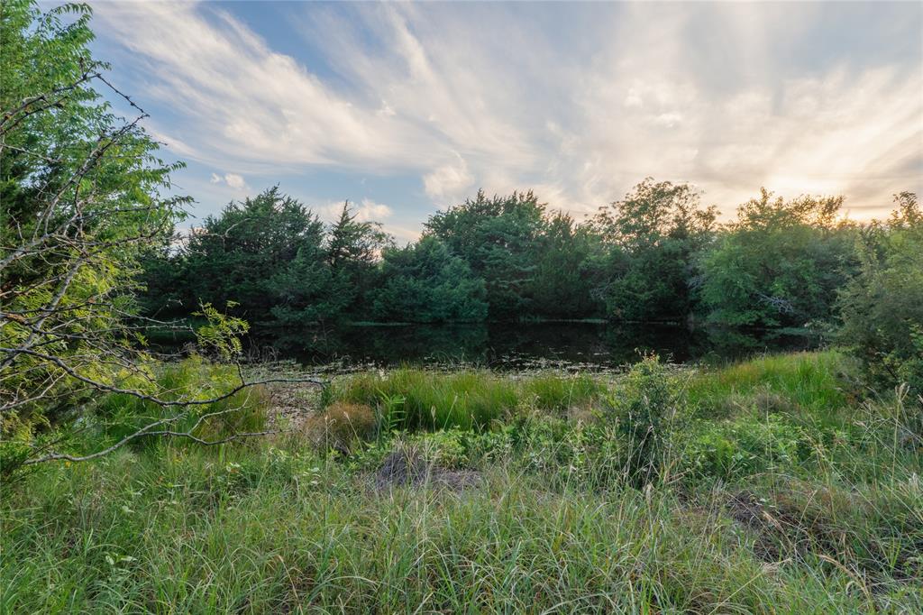 Au Springer Surv Abs #801 - Farm