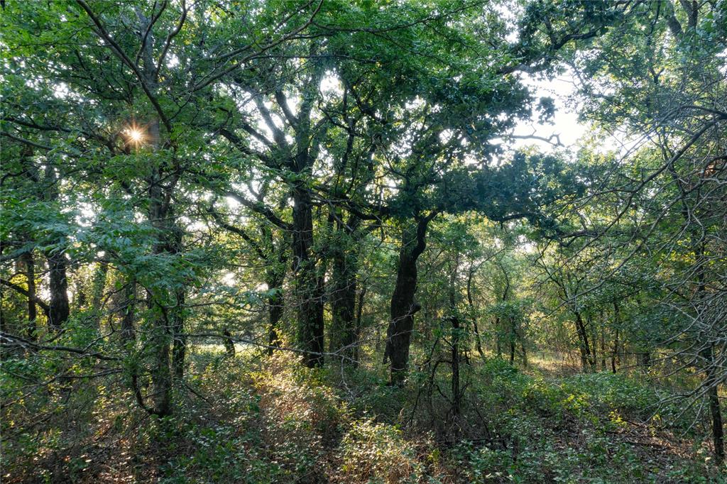 Au Springer Surv Abs #801 - Farm