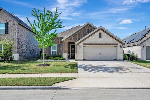 Photo of 1104 Superbloom Avenue, Justin, TX 76247 (MLS # 21220875)