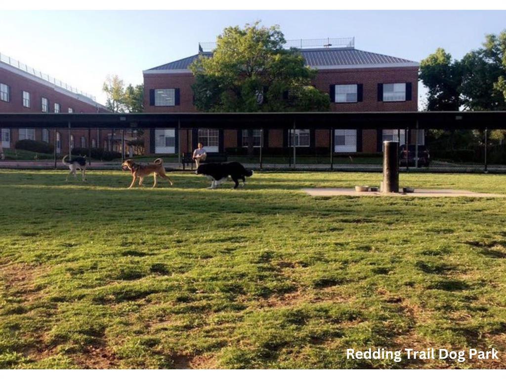 Pecan Square Condos Bldg Y - Residential Lease