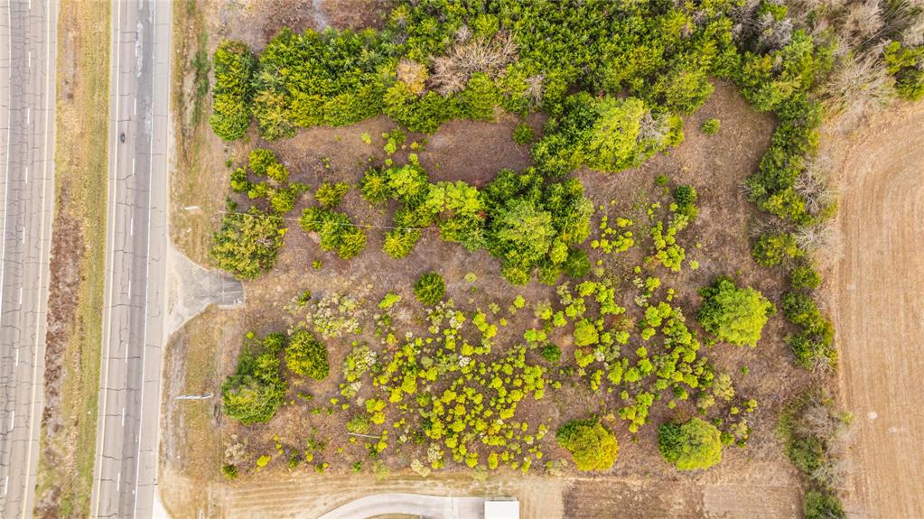 City Of Paris - Commercial Sale