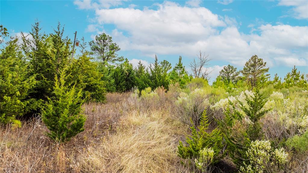 City Of Paris - Commercial Sale