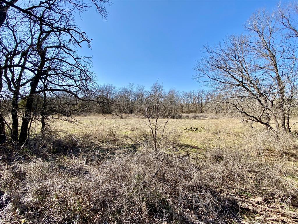 Paradise Oaks Ranch - Land