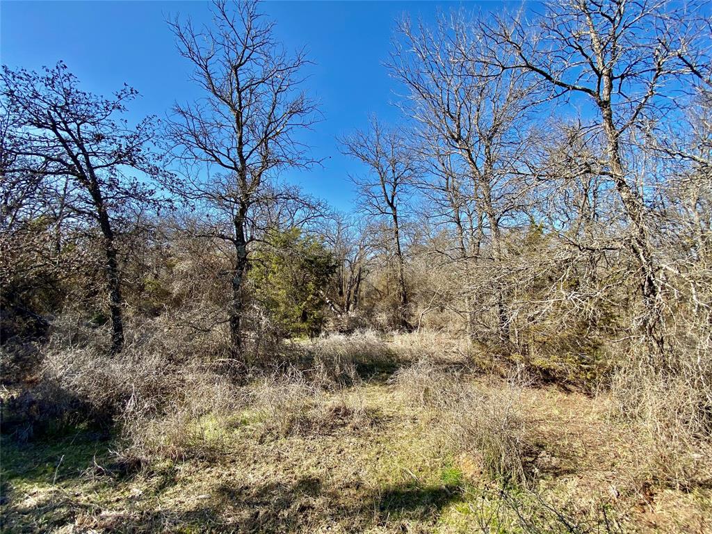 Paradise Oaks Ranch - Land