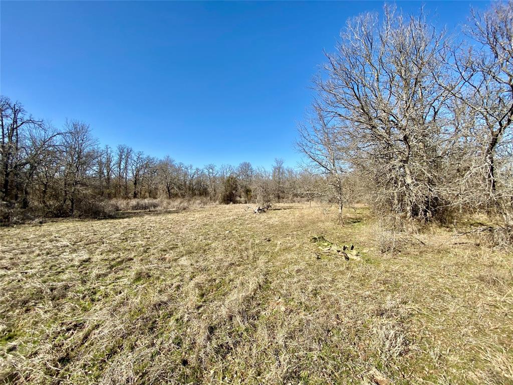 Paradise Oaks Ranch - Land