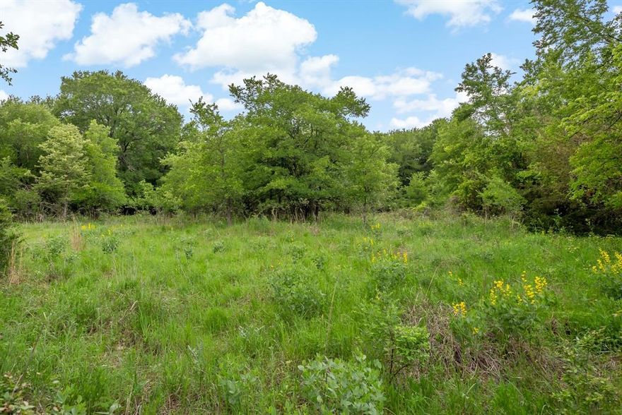 This stunning property features two premium lots at the end of a peaceful cul-de-sac in the desirable Buena Vista Subdivision, totaling just over 15.5 acres. The land is wooded, offering a blend of seclusion and natural beauty, with a tranquil creek running through the back portion of the lots. It’s an ideal setting to bring your building plans to life, whether you’re looking to create a private retreat or a family home. With plenty of space and beautiful surroundings, this property is ready for you to bring your builder and make this beautiful space your own!