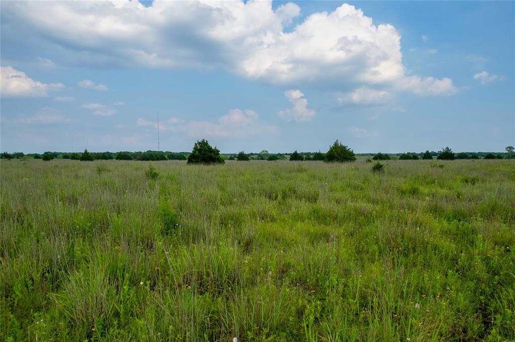 Jeremiah Day Surv Abs #202 - Land