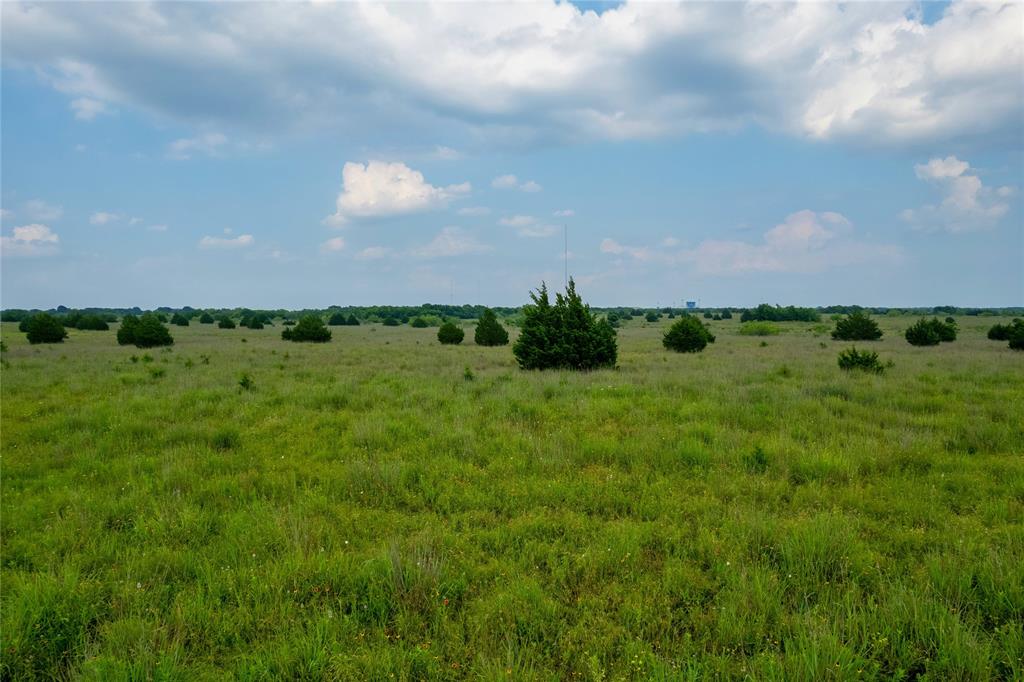 Jeremiah Day Surv Abs #202 - Land