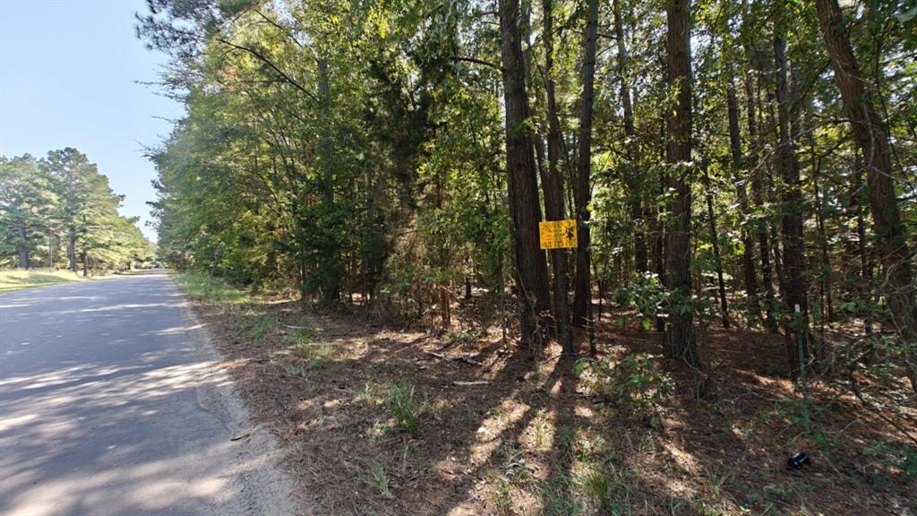 24068 County Road 244