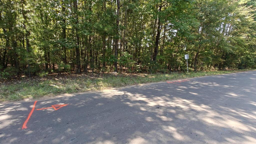 24068 County Road 244