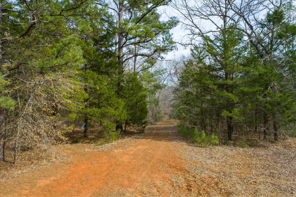 TBD County Road 4917