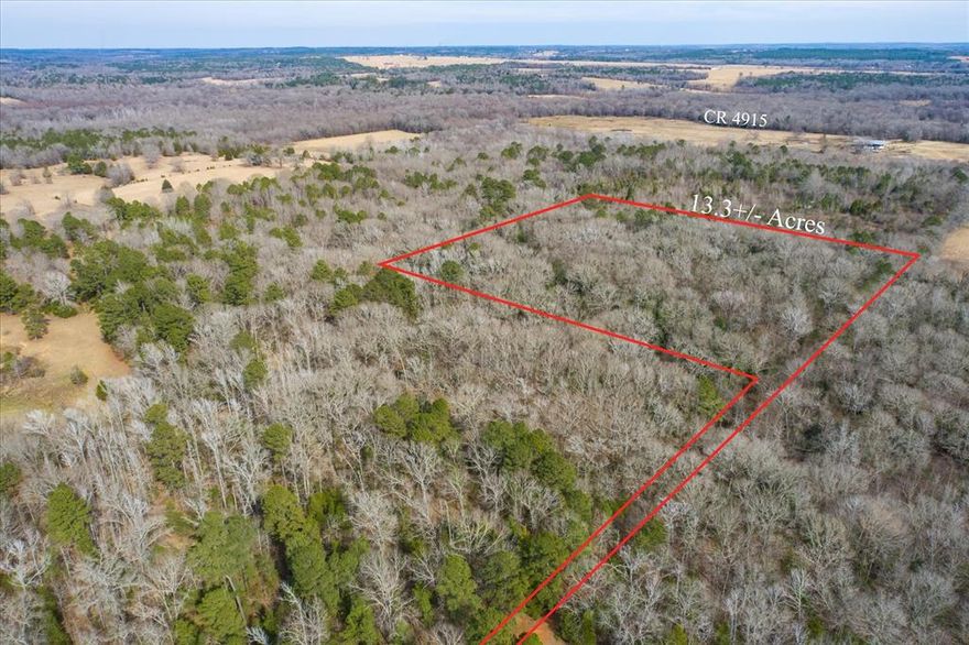 This beautiful 13.3-acre, plus or minus, property is nestled just outside of Ben Wheeler, offering a serene and private setting. Located approximately 23 miles from Canton, TX, and 20 miles from Tyler, TX, it's the perfect spot to build your dream home or a peaceful weekend retreat. The land is heavily wooded with mature trees, featuring a small creek that runs along the back, and is abundant with wildlife, making it an ideal escape into nature.