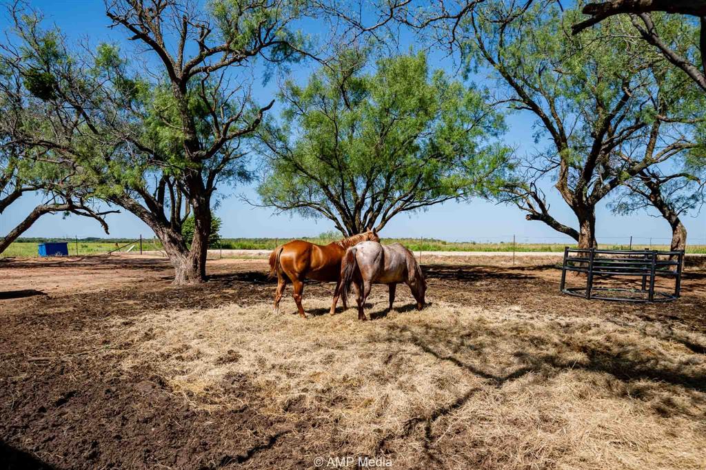10356 County Road 249