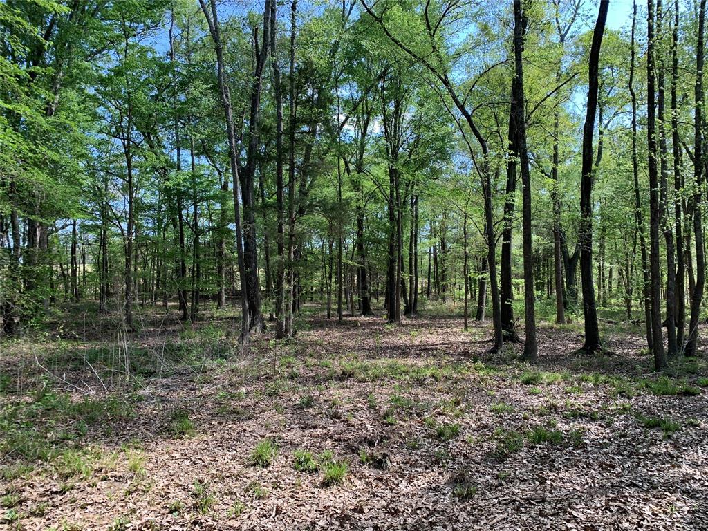 M Butler A 95 - Residential