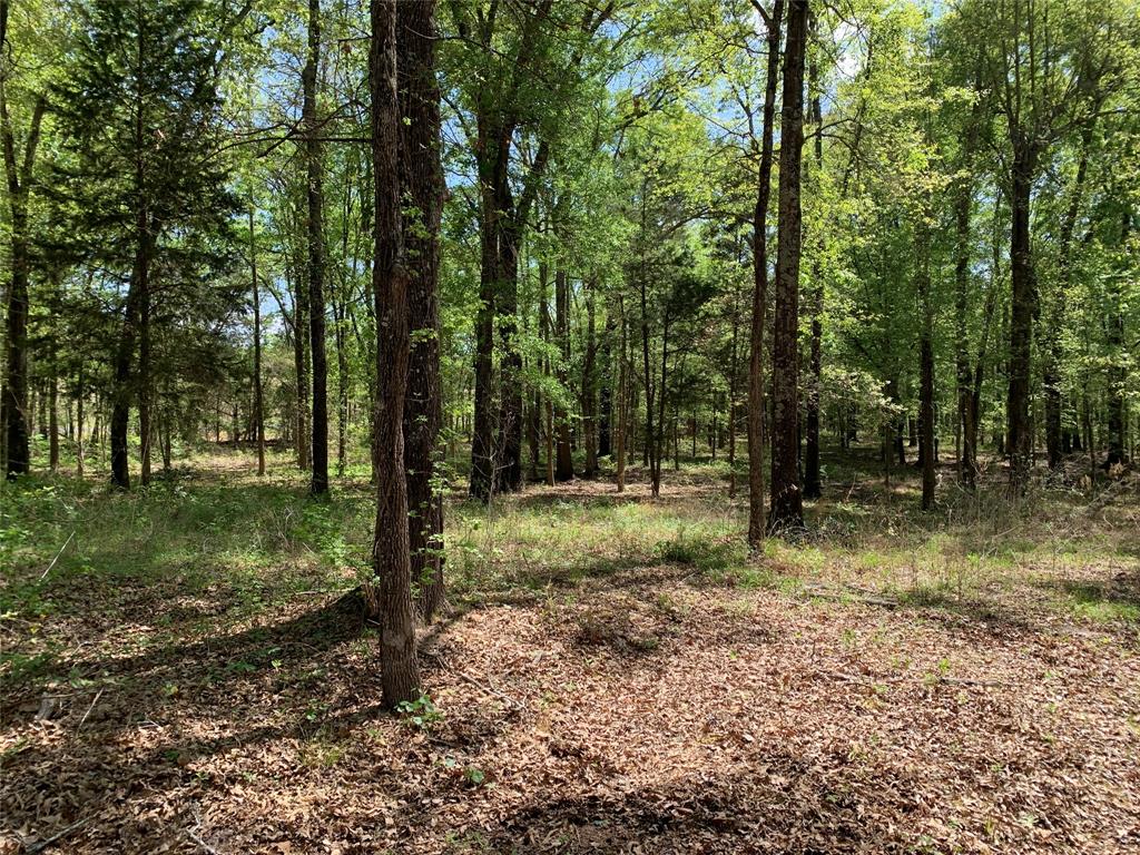 M Butler A 95 - Residential