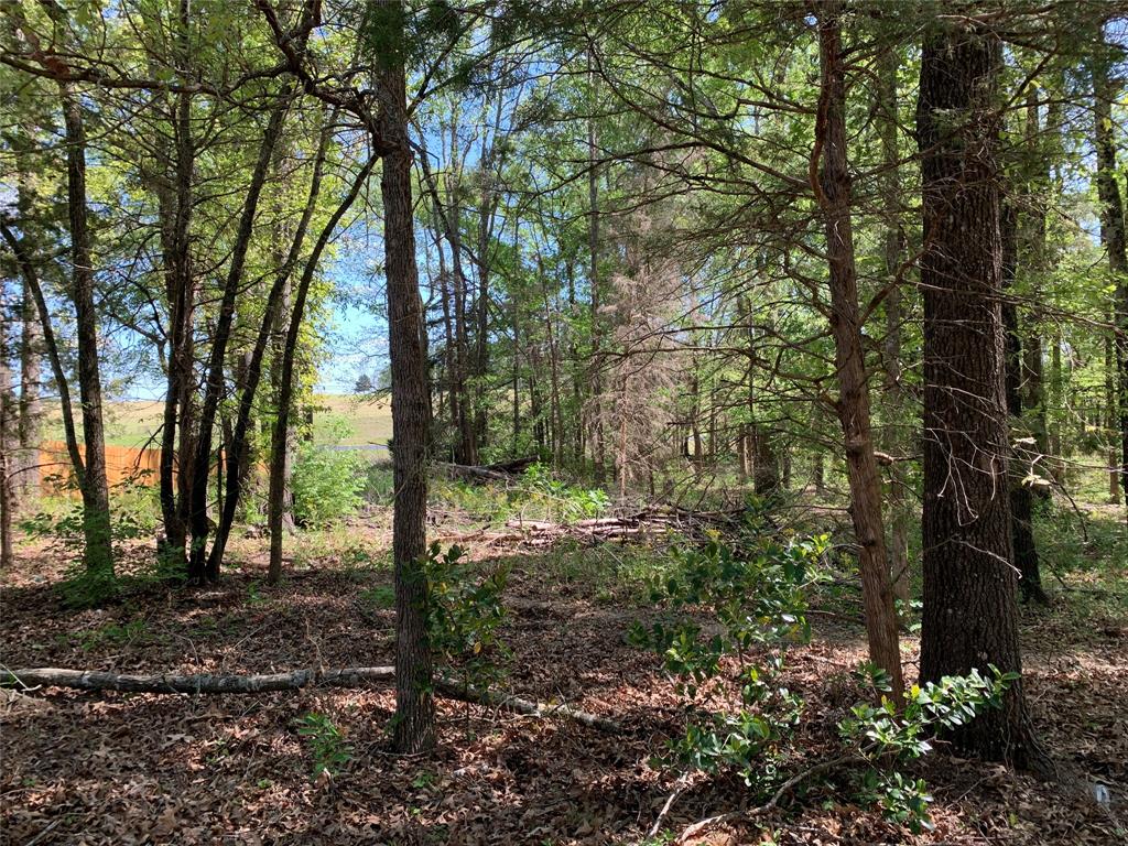 M Butler A 95 - Residential