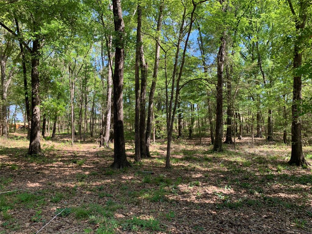 M Butler A 95 - Residential