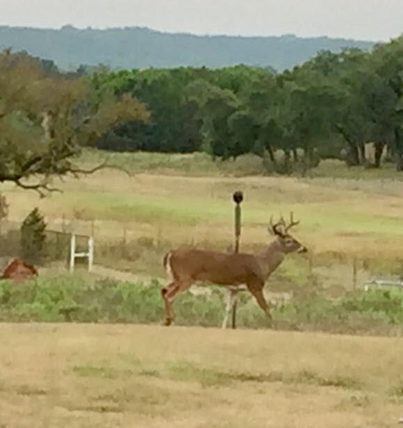 A31 H FIELDS - Commercial Sale