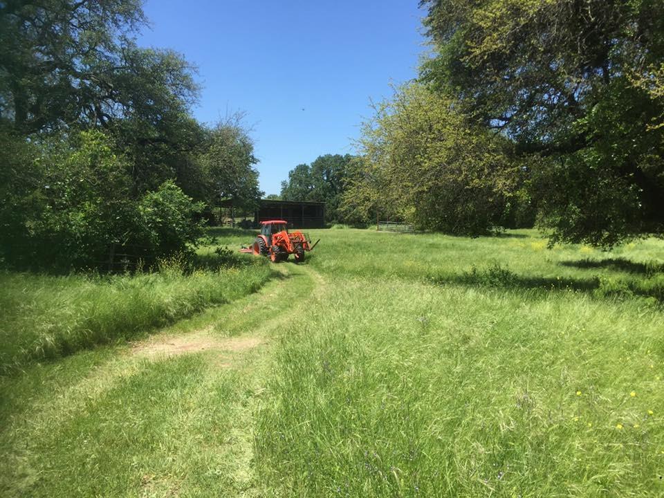 A31 H FIELDS - Commercial Sale