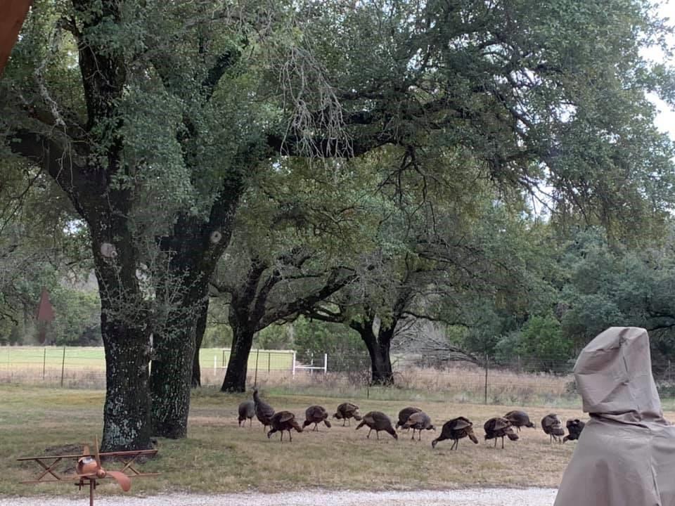 A31 H FIELDS - Commercial Sale