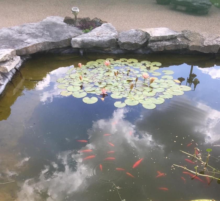 A31 H FIELDS - Commercial Sale