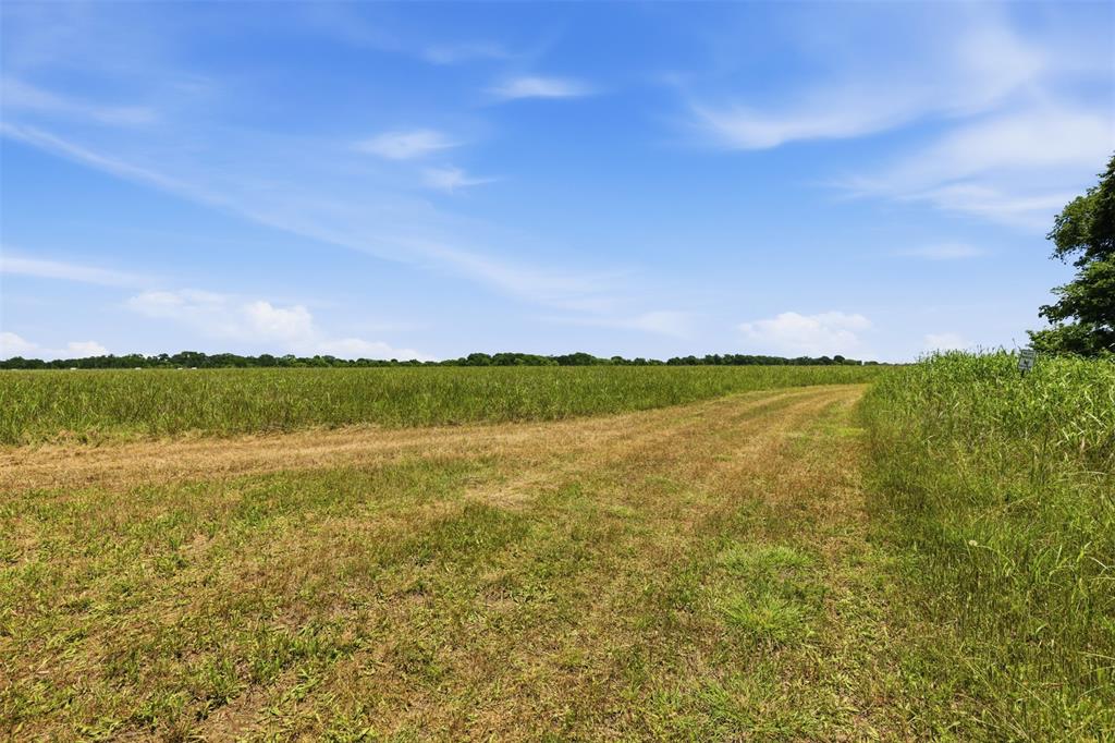 421 Chambers Creek Trail