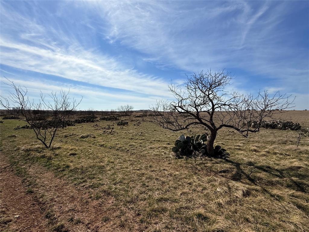 Hamilton Study - Farm