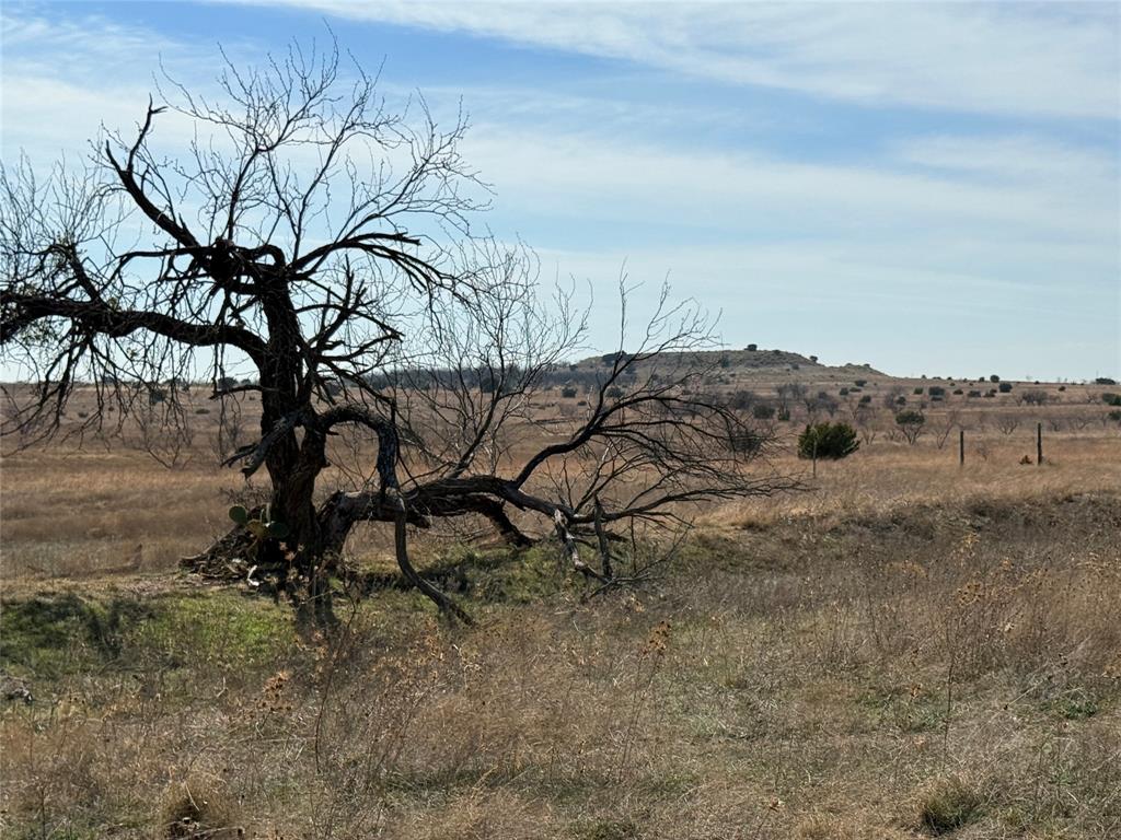 Hamilton Study - Farm