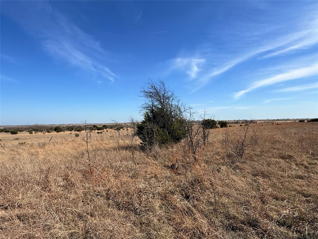 Hamilton Study - Farm