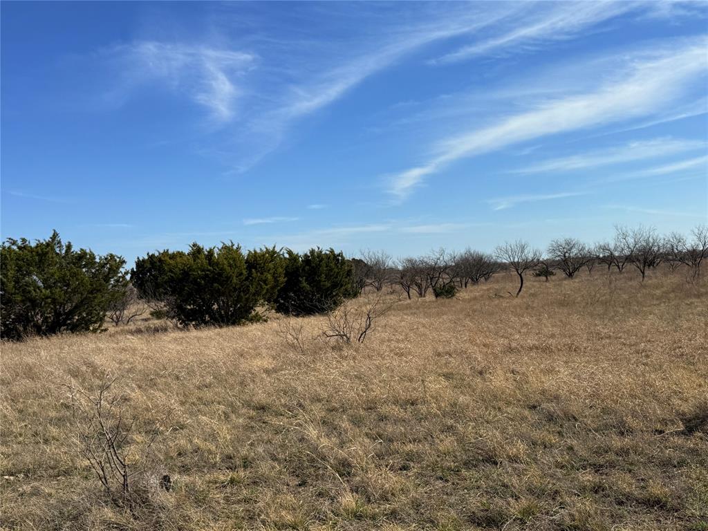 Hamilton Study - Farm