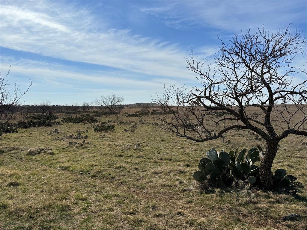 Hamilton Study - Farm