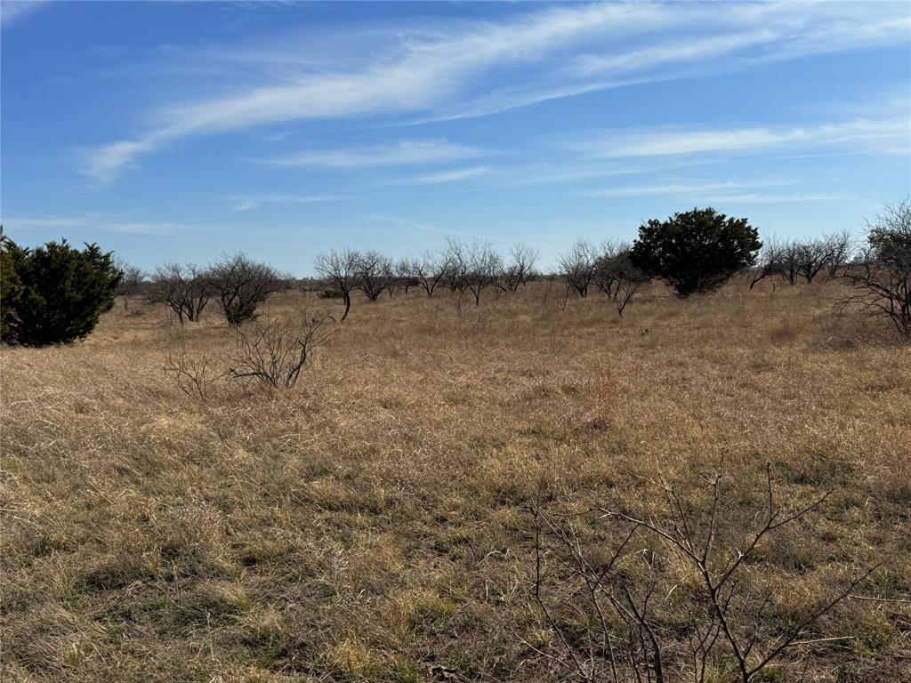 Hamilton Study - Farm