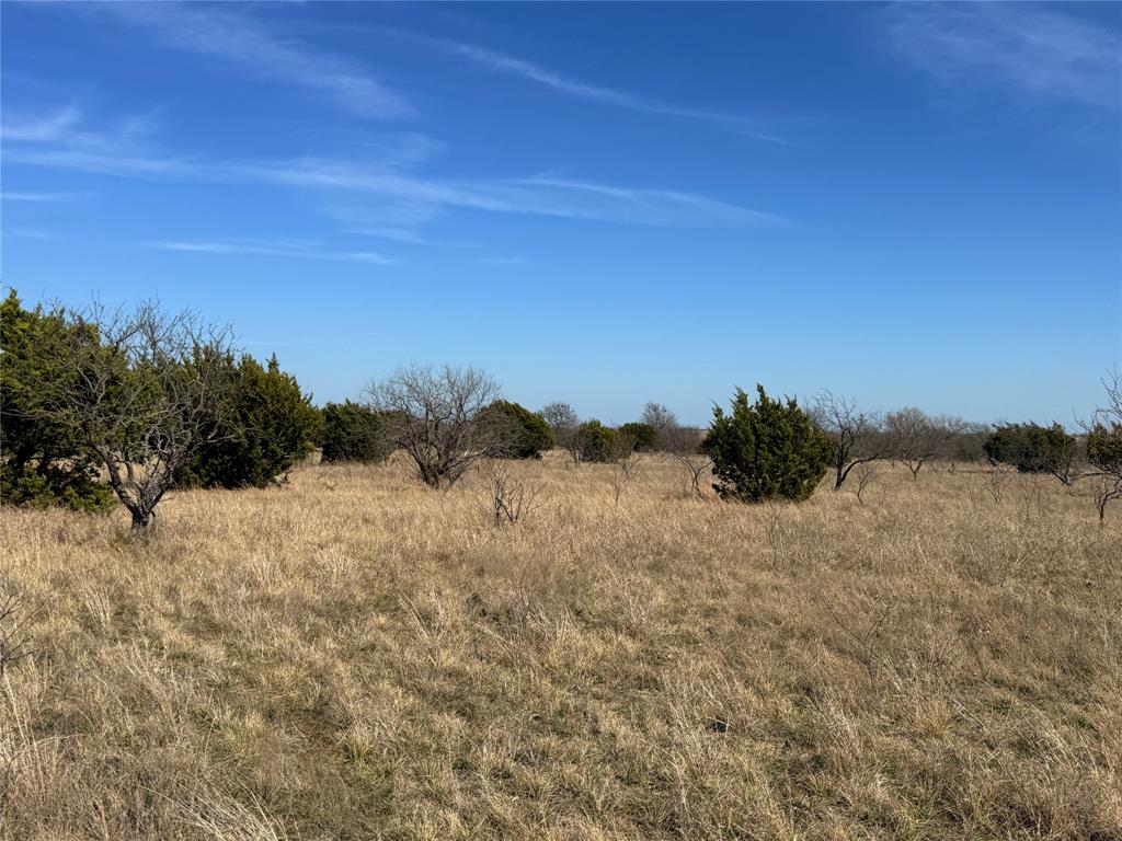 Hamilton Study - Farm