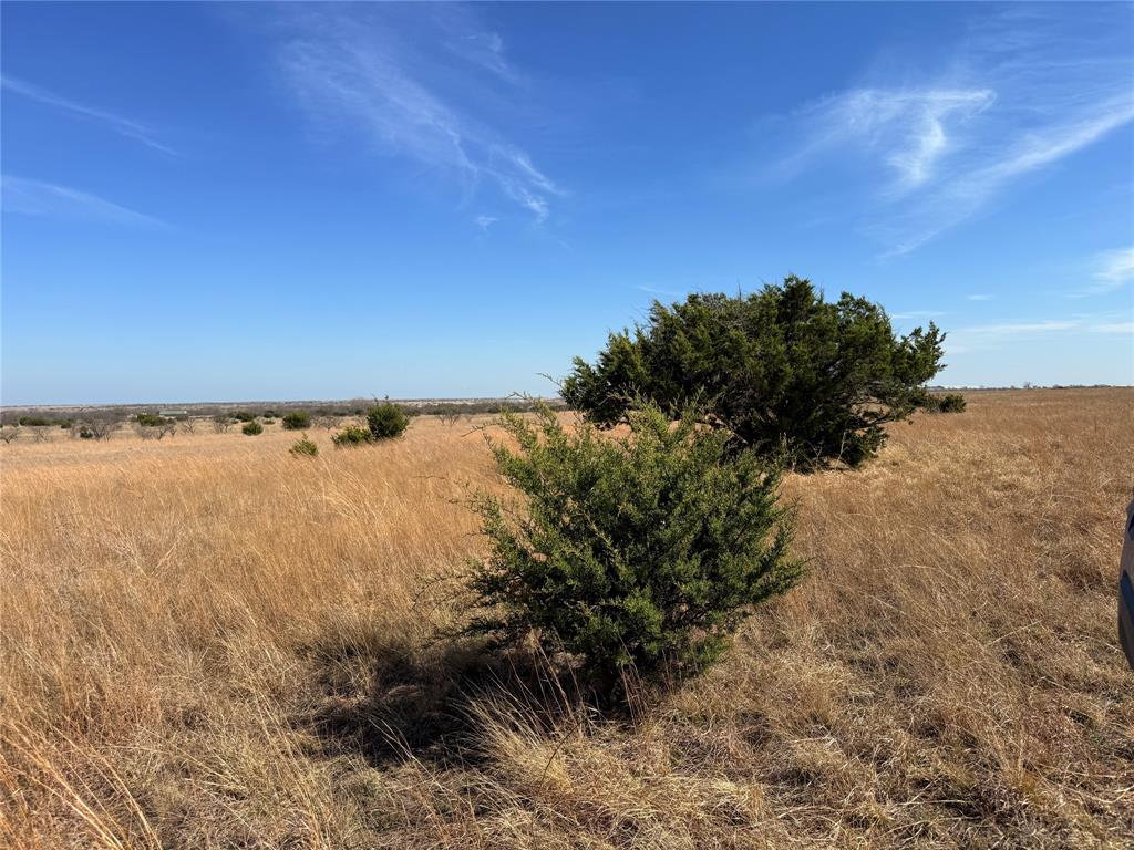 Hamilton Study - Farm