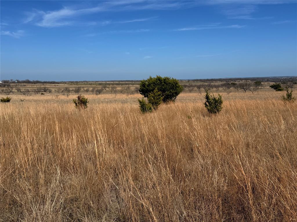 Hamilton Study - Farm