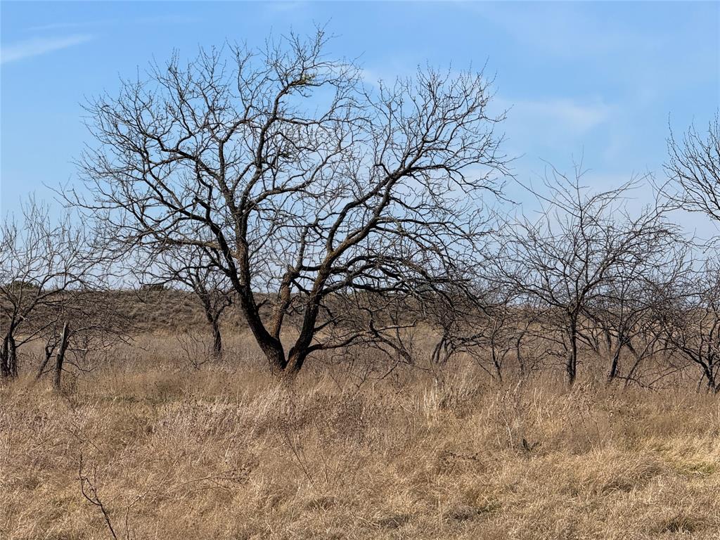 Hamilton Study - Farm
