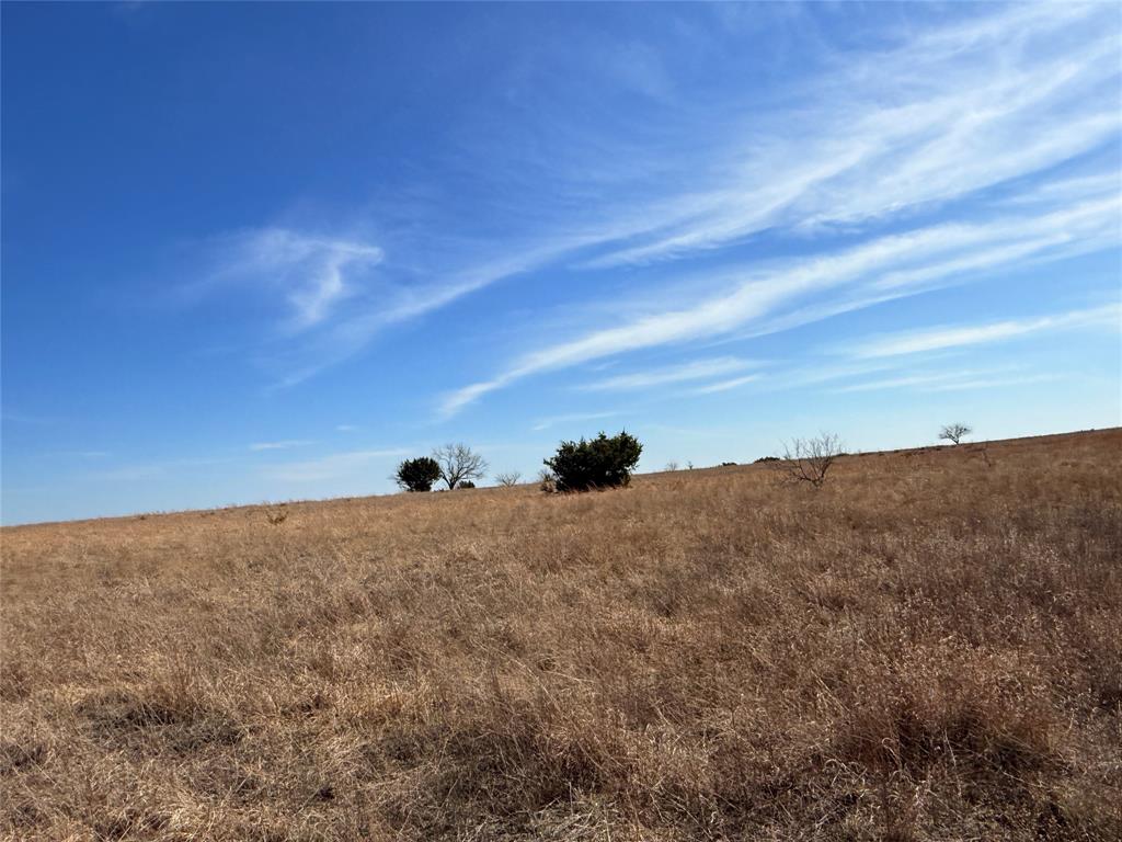 Hamilton Study - Farm