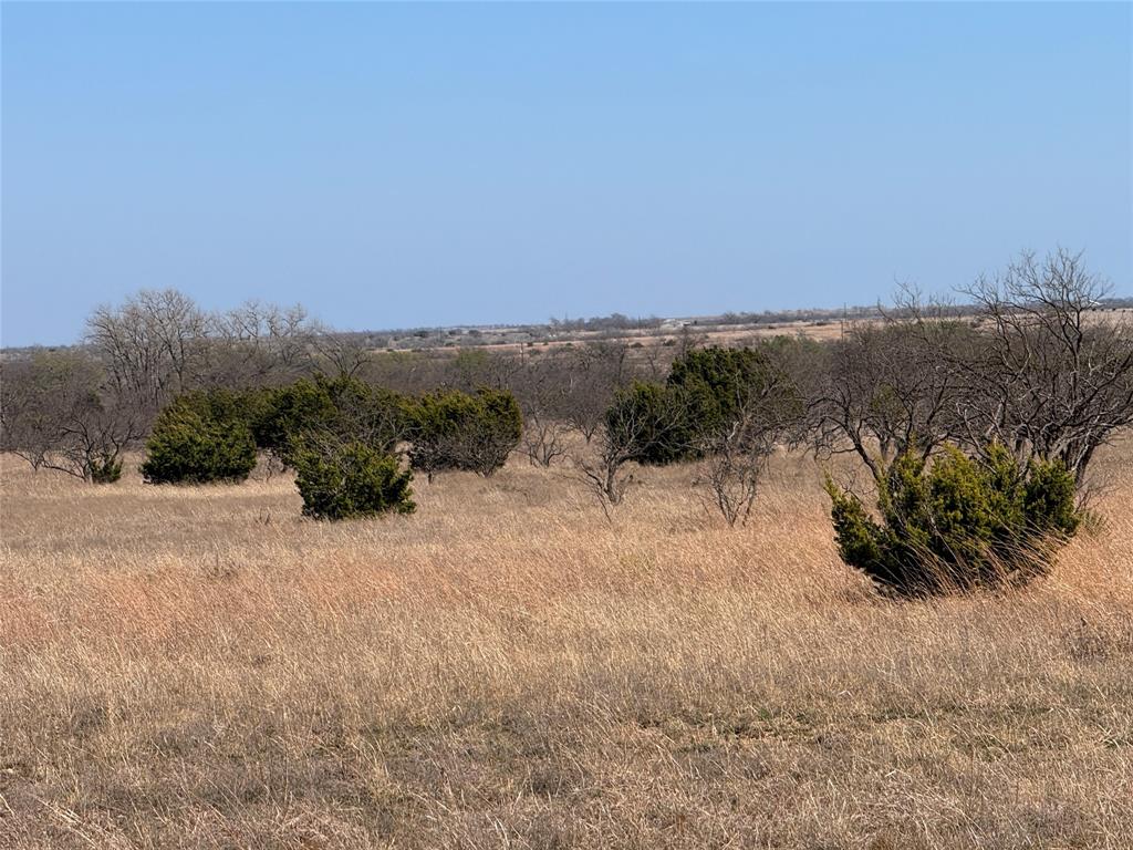 Hamilton Study - Farm