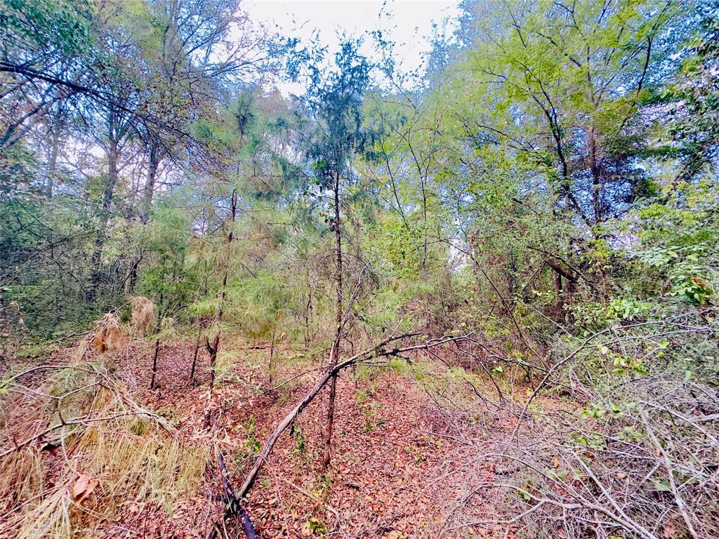 0000 Apple Tree Road