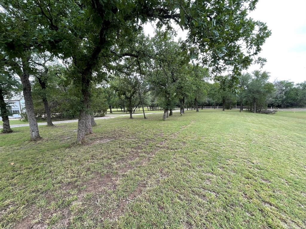296 E Bluff Springs Road