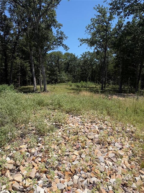 Photo of 7310 FM 1567, Lone Oak, TX 75453 (MLS # 21326668)