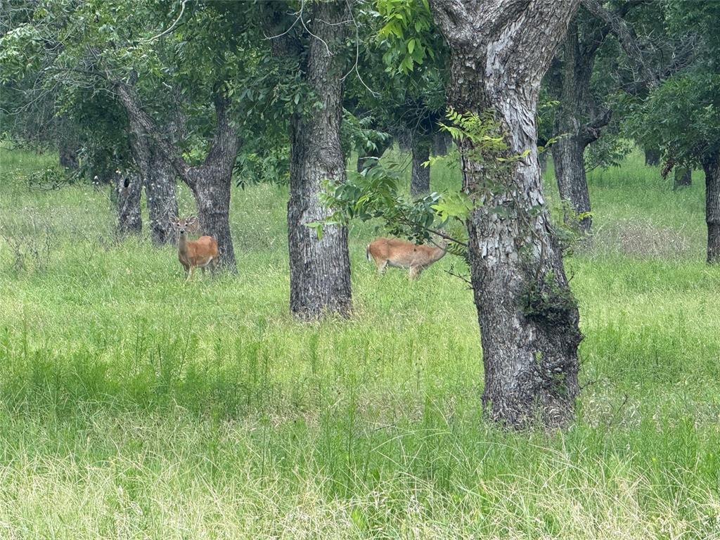 Ranches-Pecan Plantation Ph 2 - Land