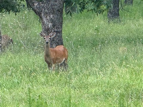 Photo of 3140 E Landings S, Granbury, TX 76049 (MLS # 21130414)