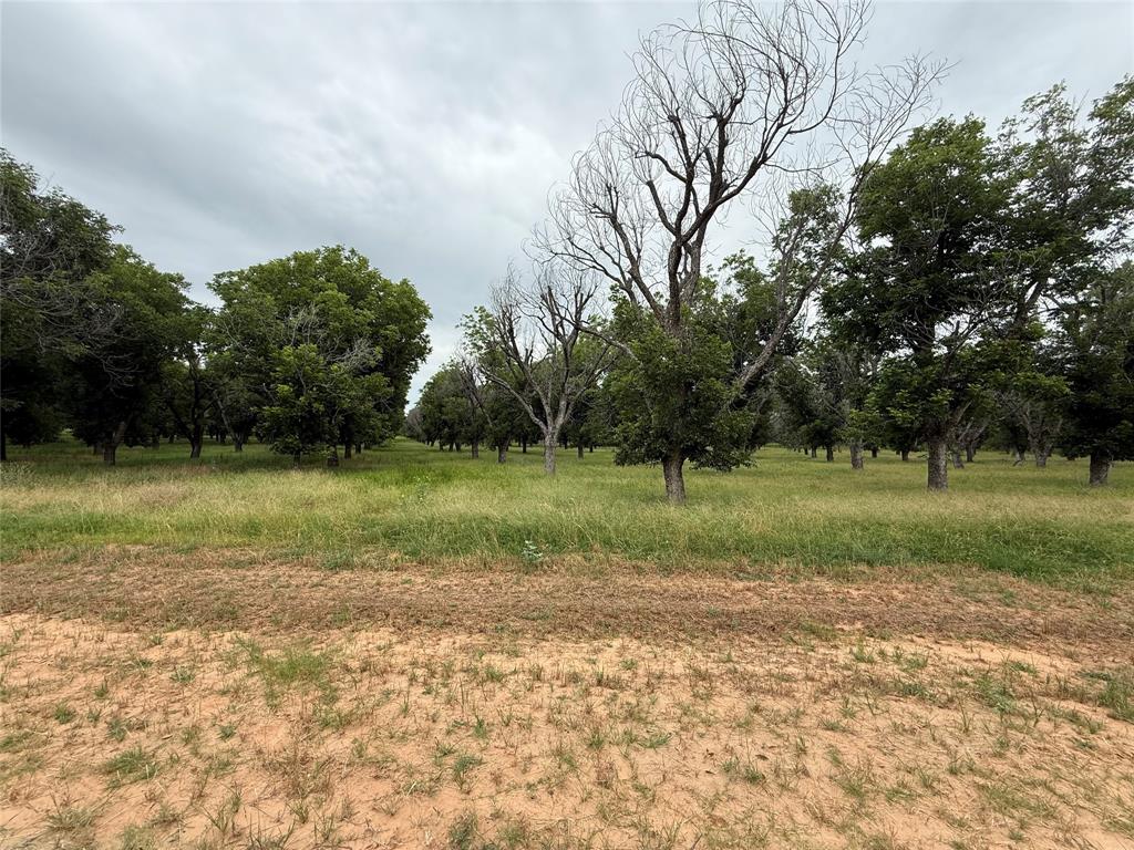 Ranches-Pecan Plantation Ph 2 - Land