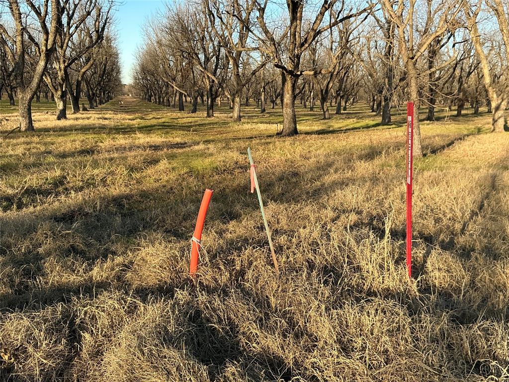 Ranches-Pecan Plantation Ph 2 - Land
