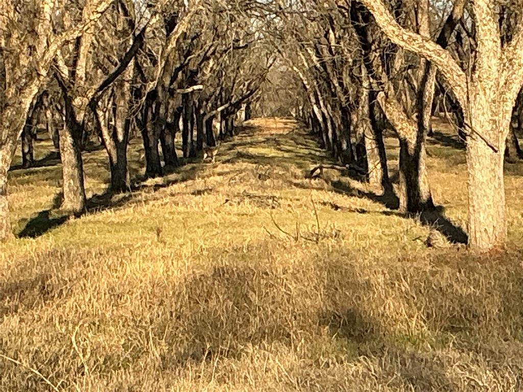Ranches-Pecan Plantation Ph 2 - Land